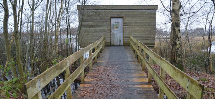 Vogelkijkhut Fochteloërveen