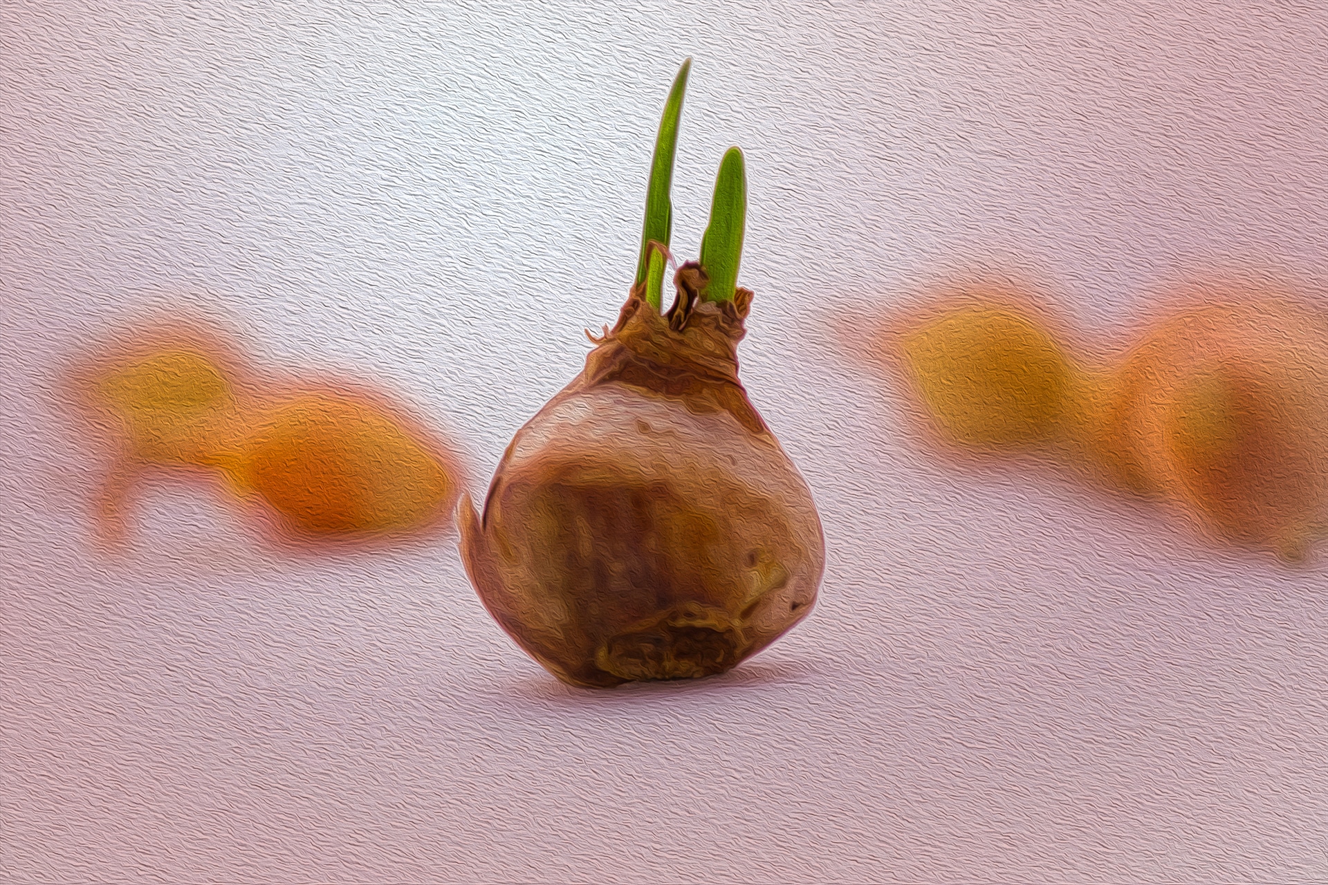 Reuzenbol | Ode aan het handwerk in de bloembollenteelt