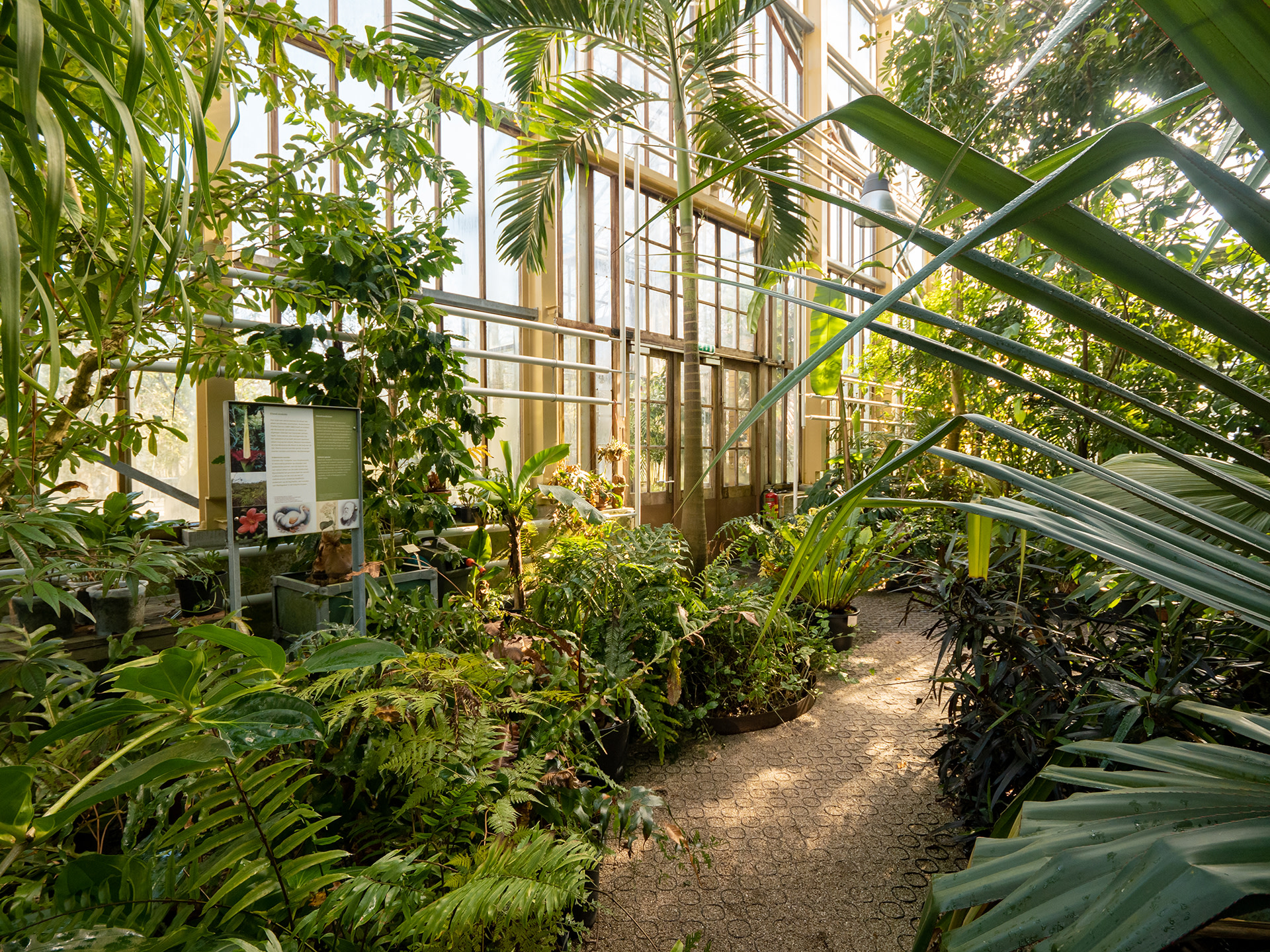 Binnenkassen - ©Simone Both