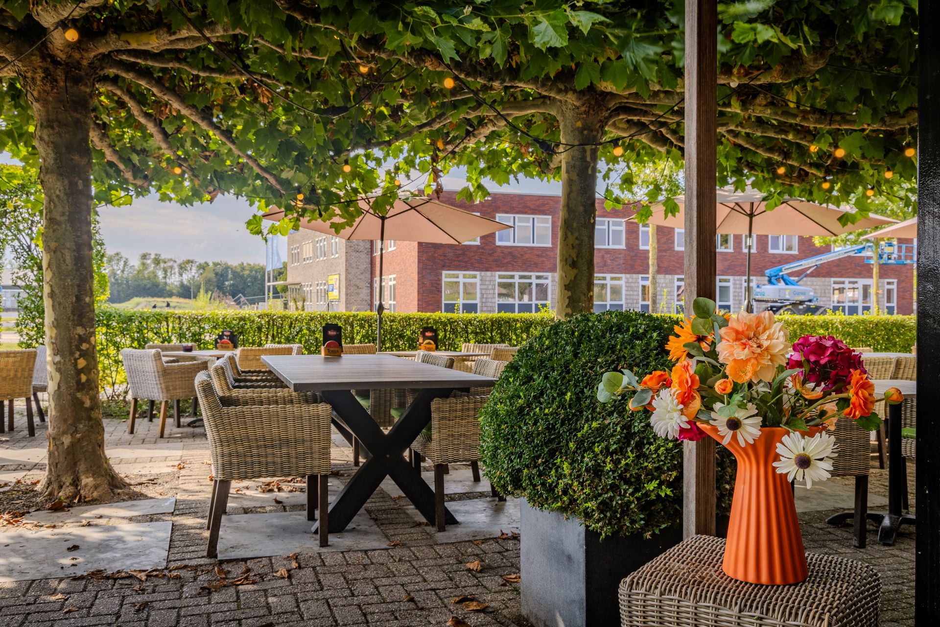 Broer en Ko terras buiten