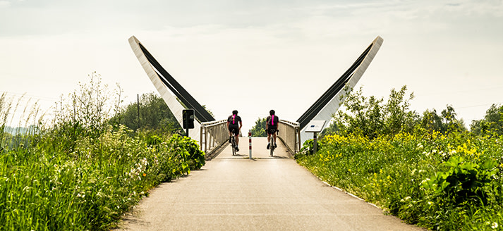 Avelgemse Scheldemeersen