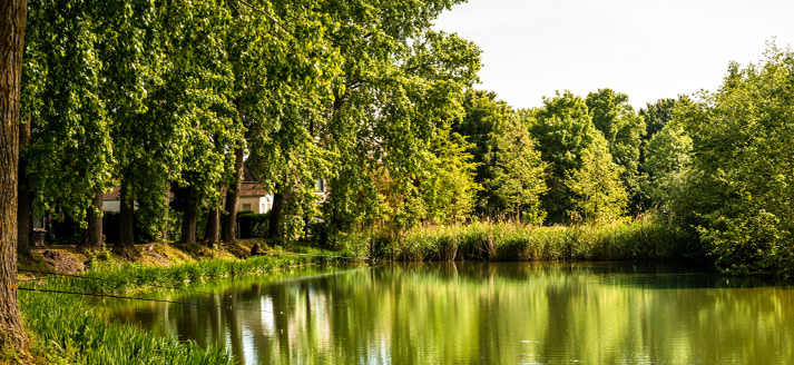 Avelgemse Scheldemeersen