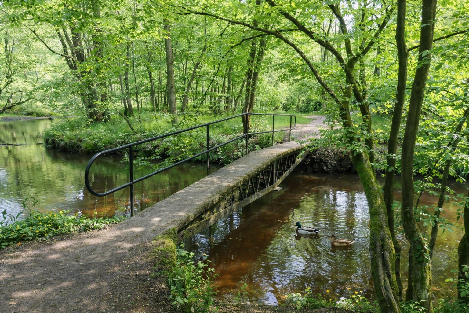 Leubeek