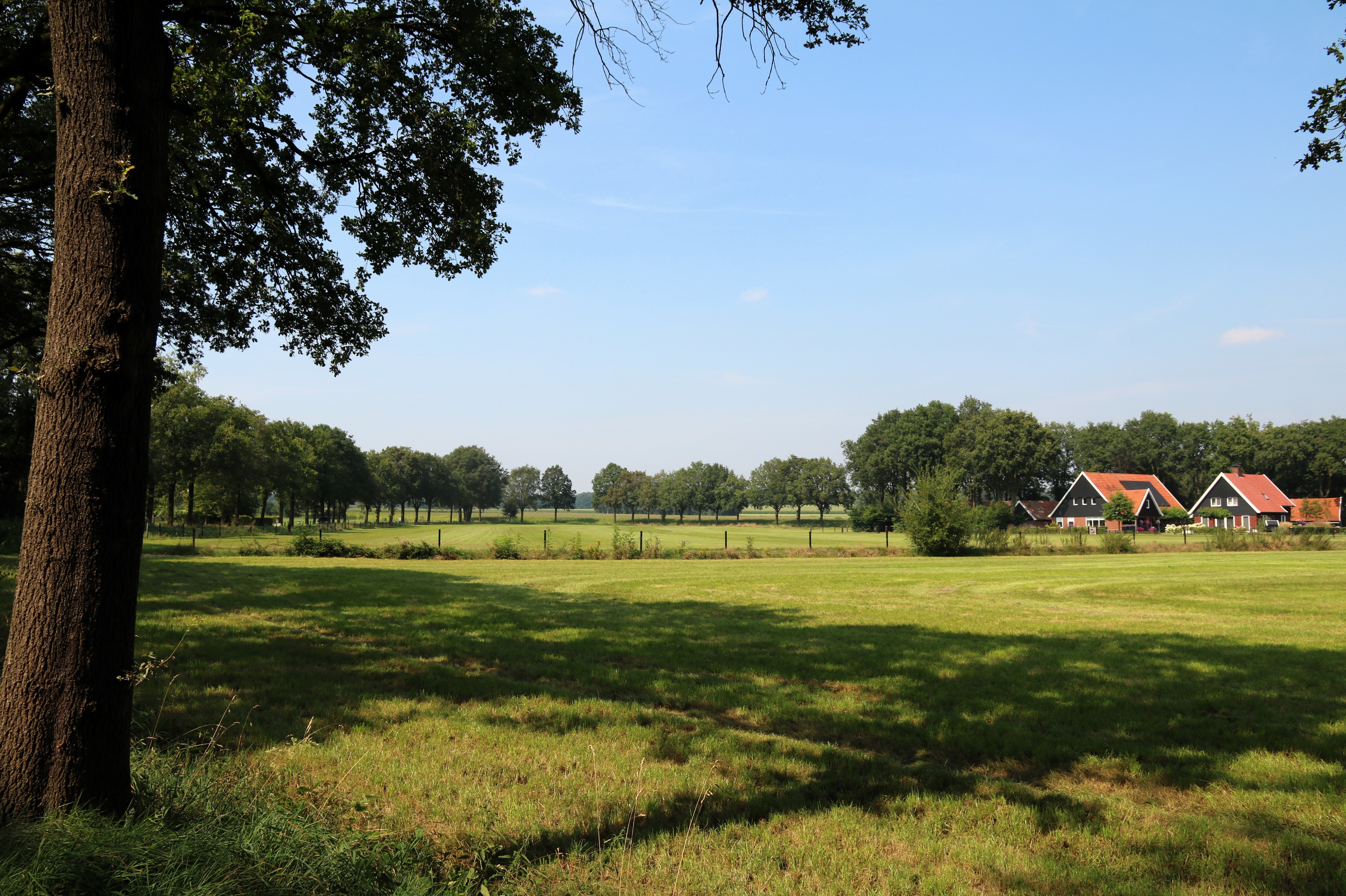 Twentse hoeve in landschap Ootmarsum