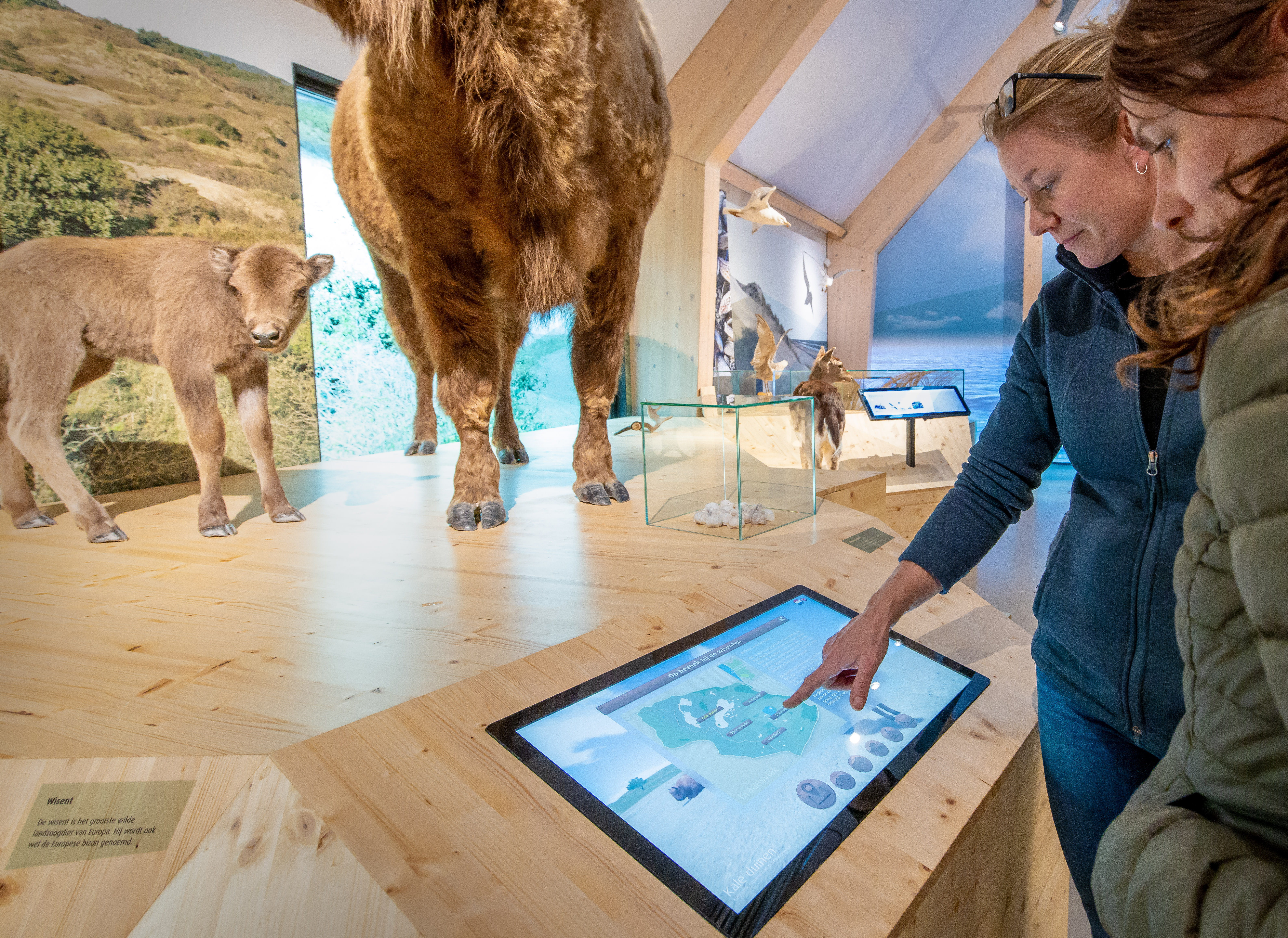 Nationaal Park Zuid-Kennemerland
