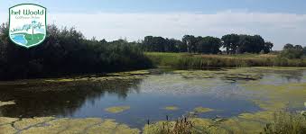 Golfbaan Het Woold