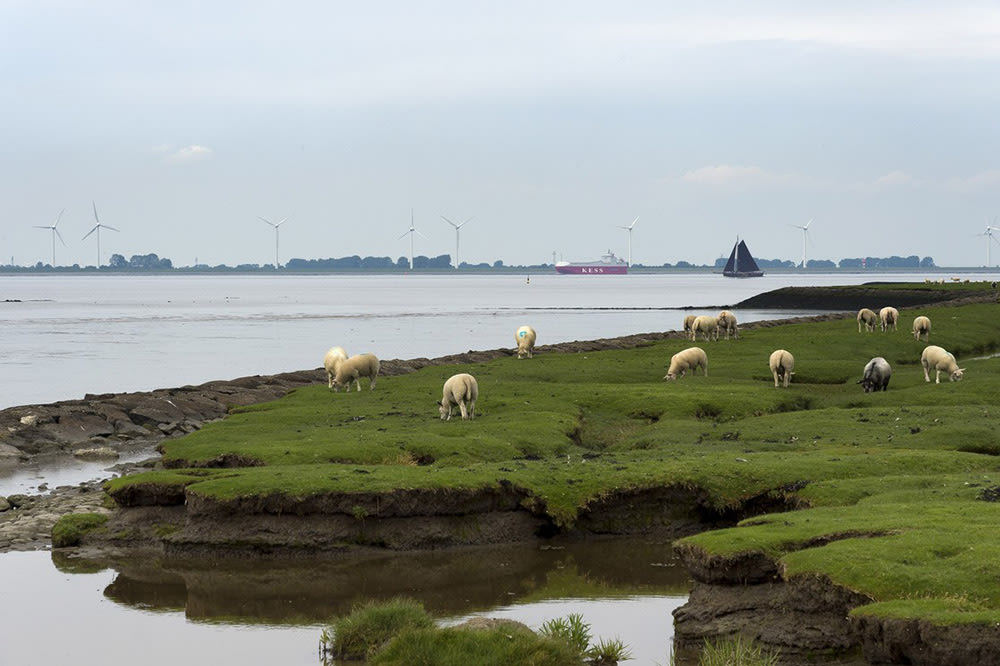 Bezoekerscentrum Reidehoeve