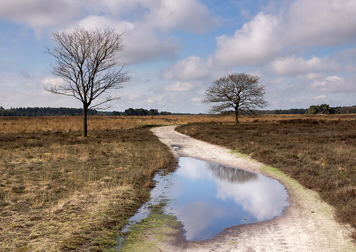 Roovertsche Heide