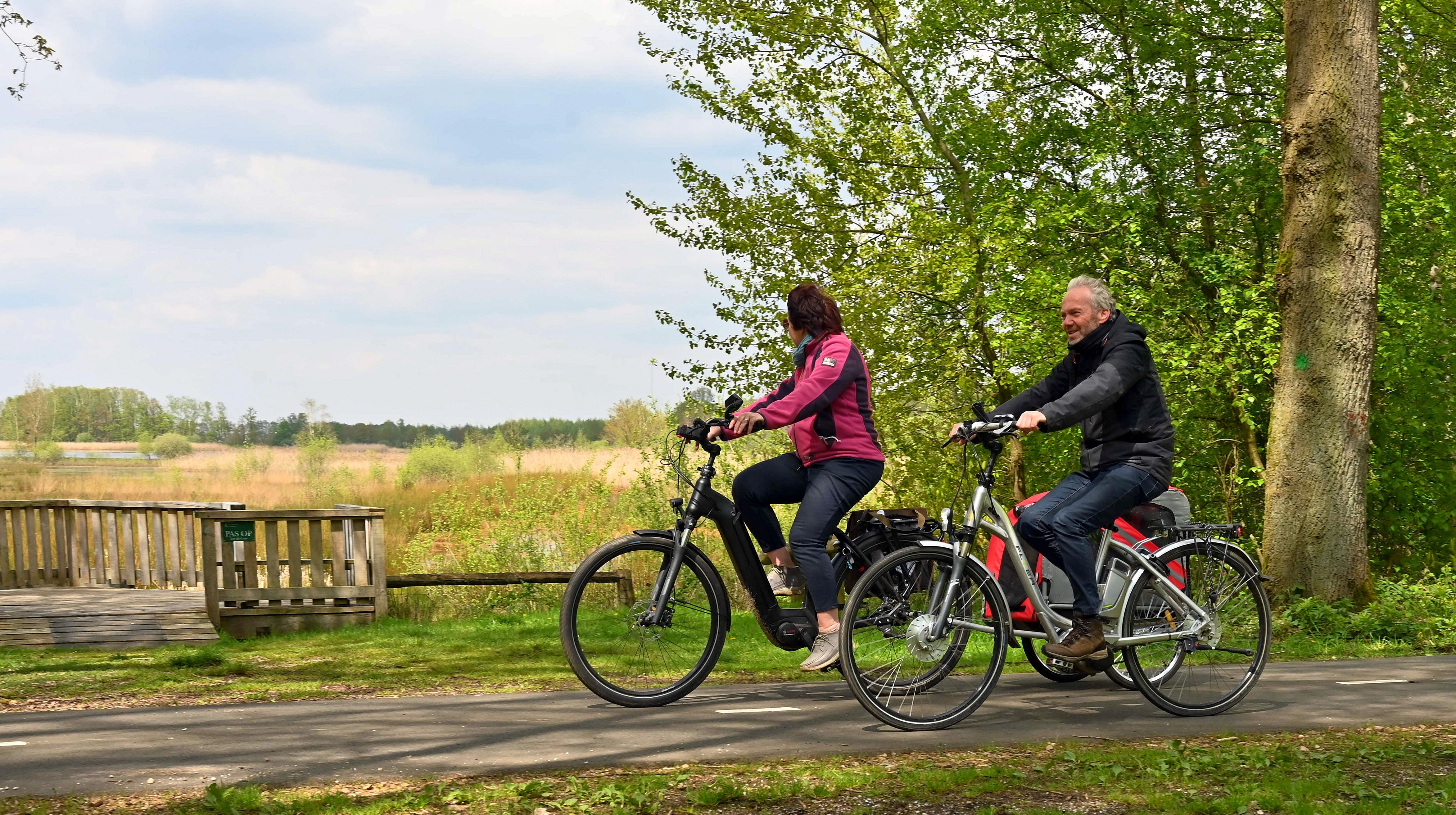 Nationaal Park De Maasduinen