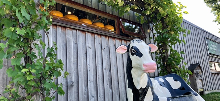 Streekwinkel Boer en Goed