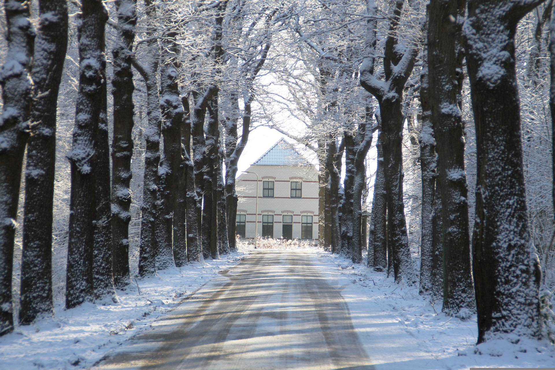 Landgoed Rheebruggen in de sneeuw