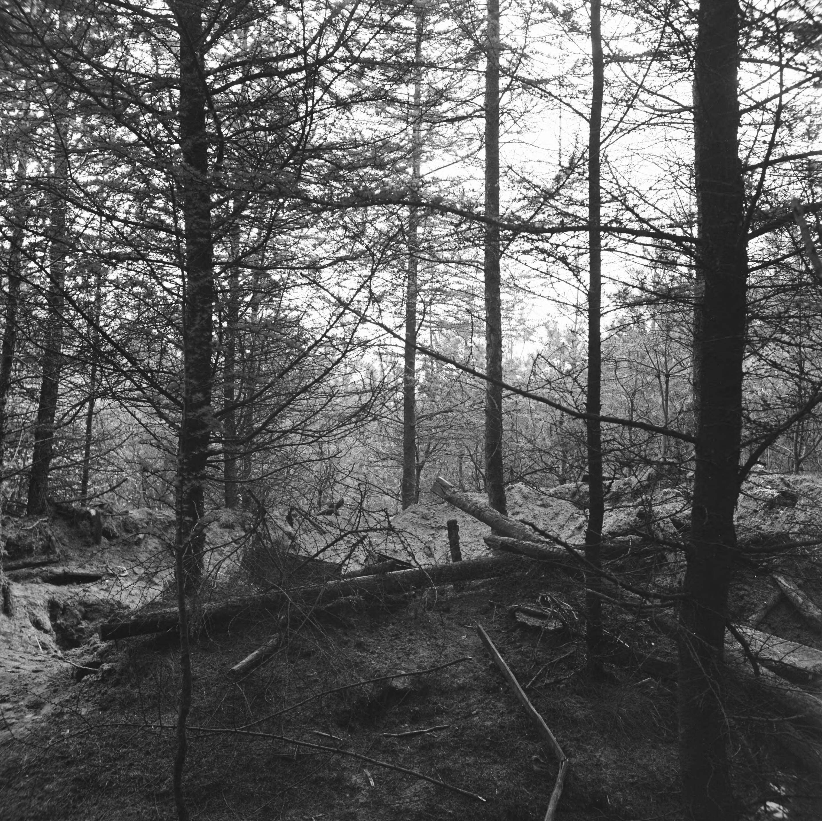 Zo gevonden op 10 april 1945