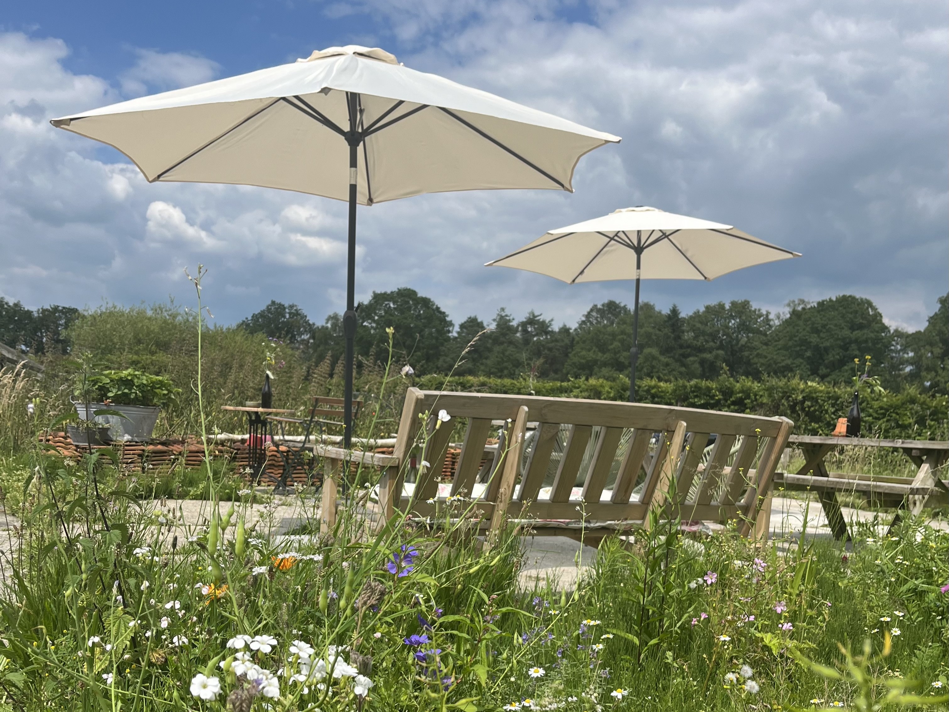 Gezellig in de zon bij Erve Zonnehoeve | Wijngaard en B&B