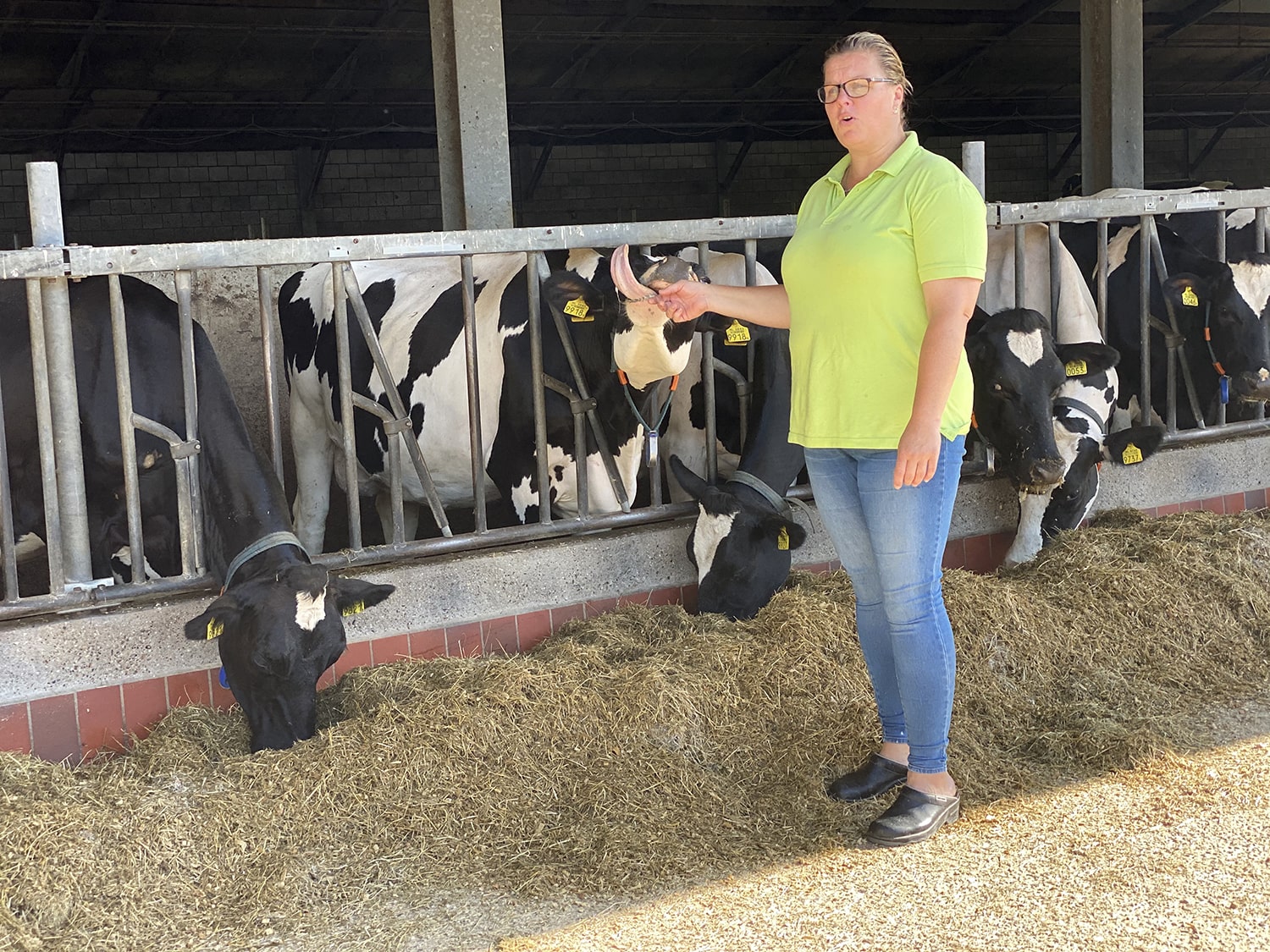 Zuivelboerderij De Kern - ©VisitBrabant