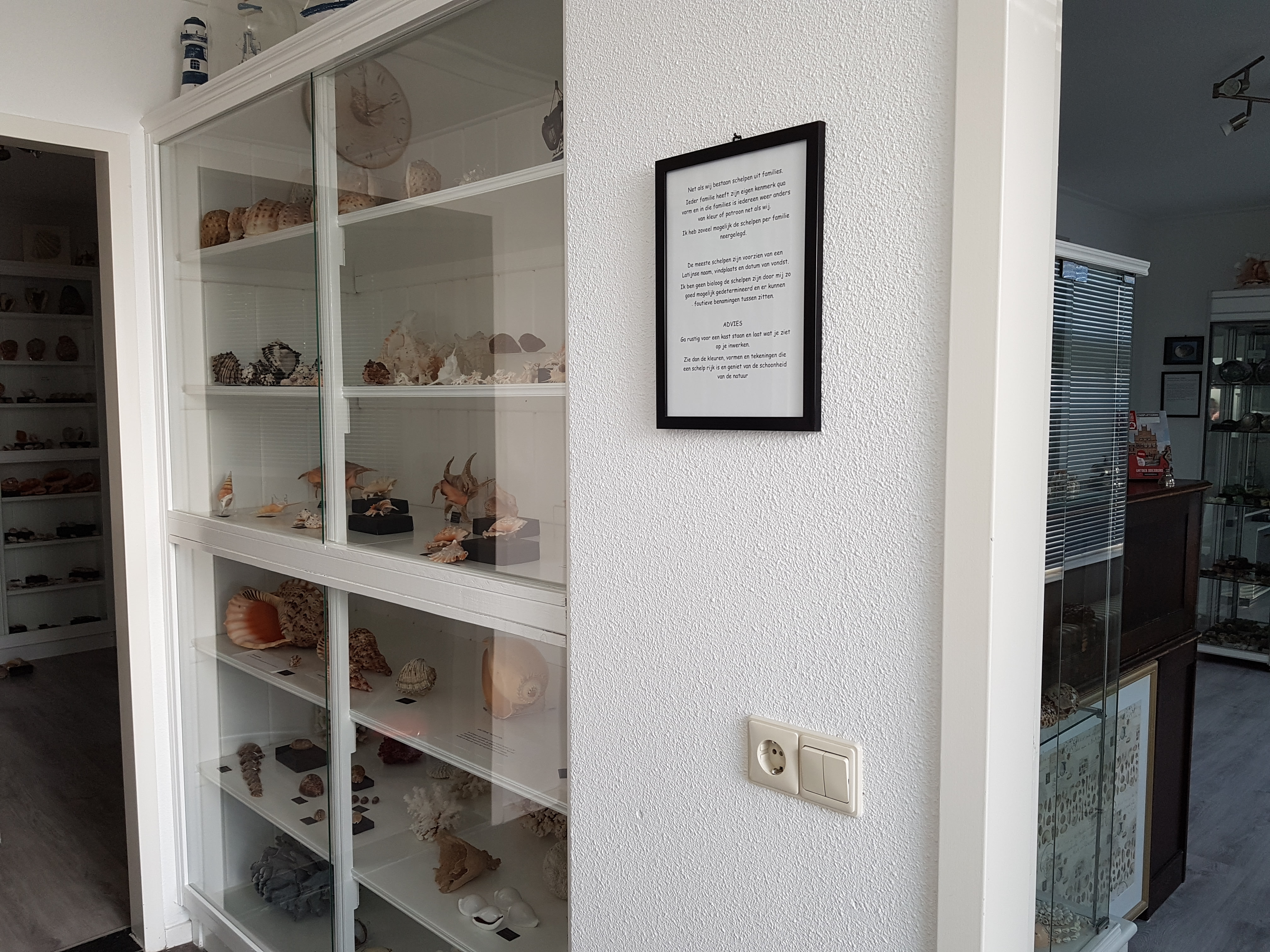 De bijzondere collectie van De Schelp