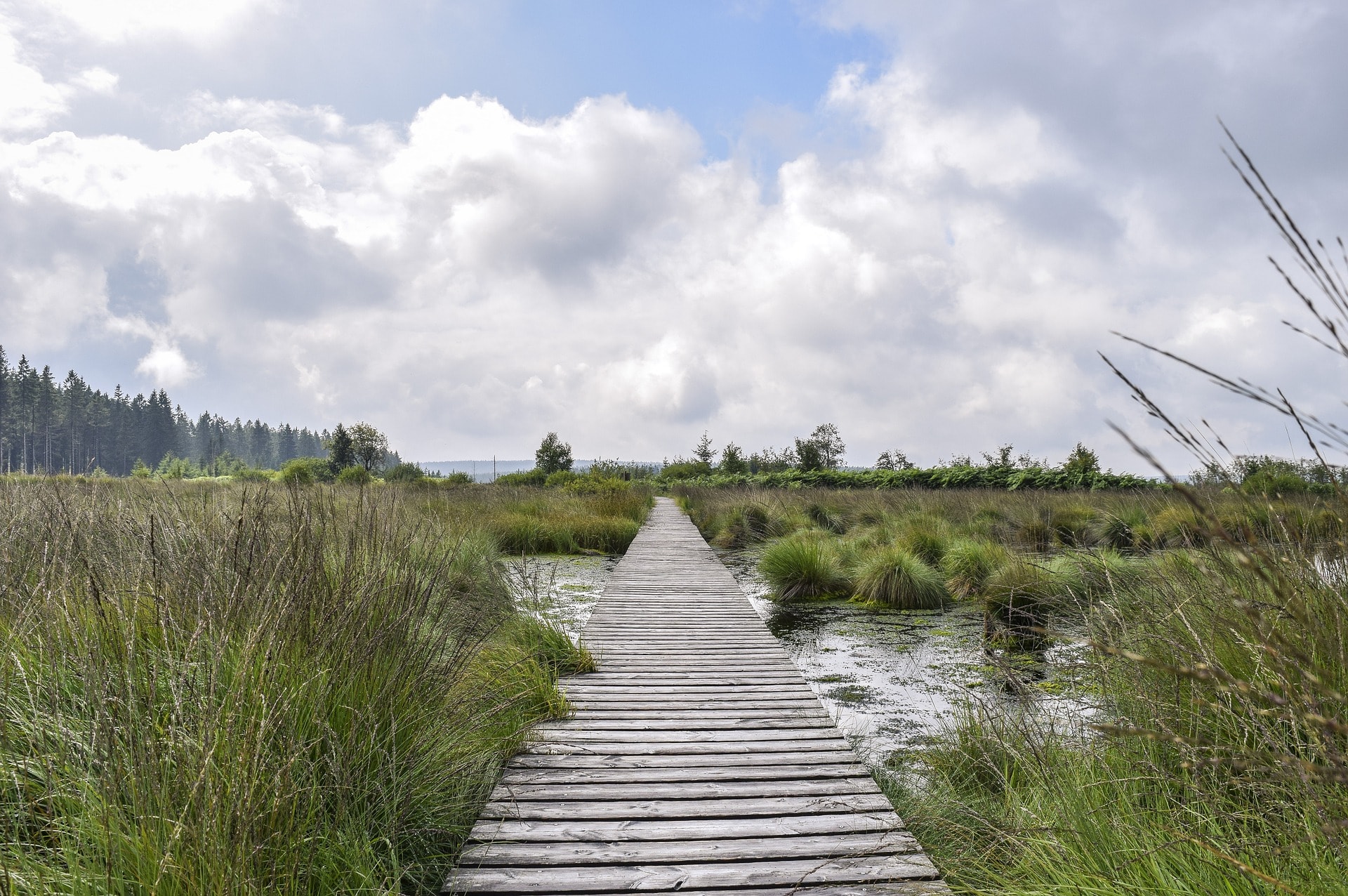 Natuurpoort Vennenhorst Someren