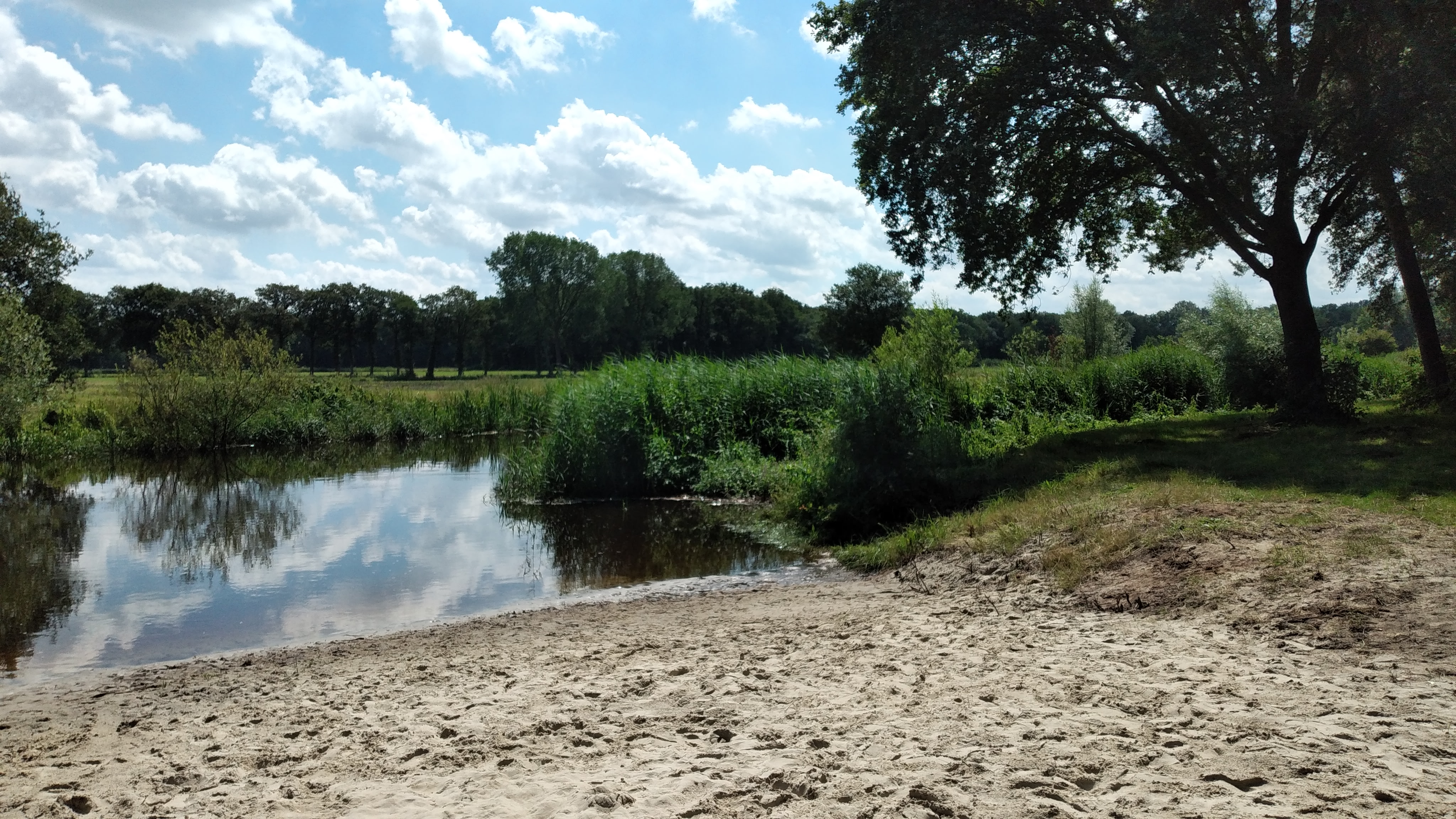 Strandje aan de Regge zwemmen