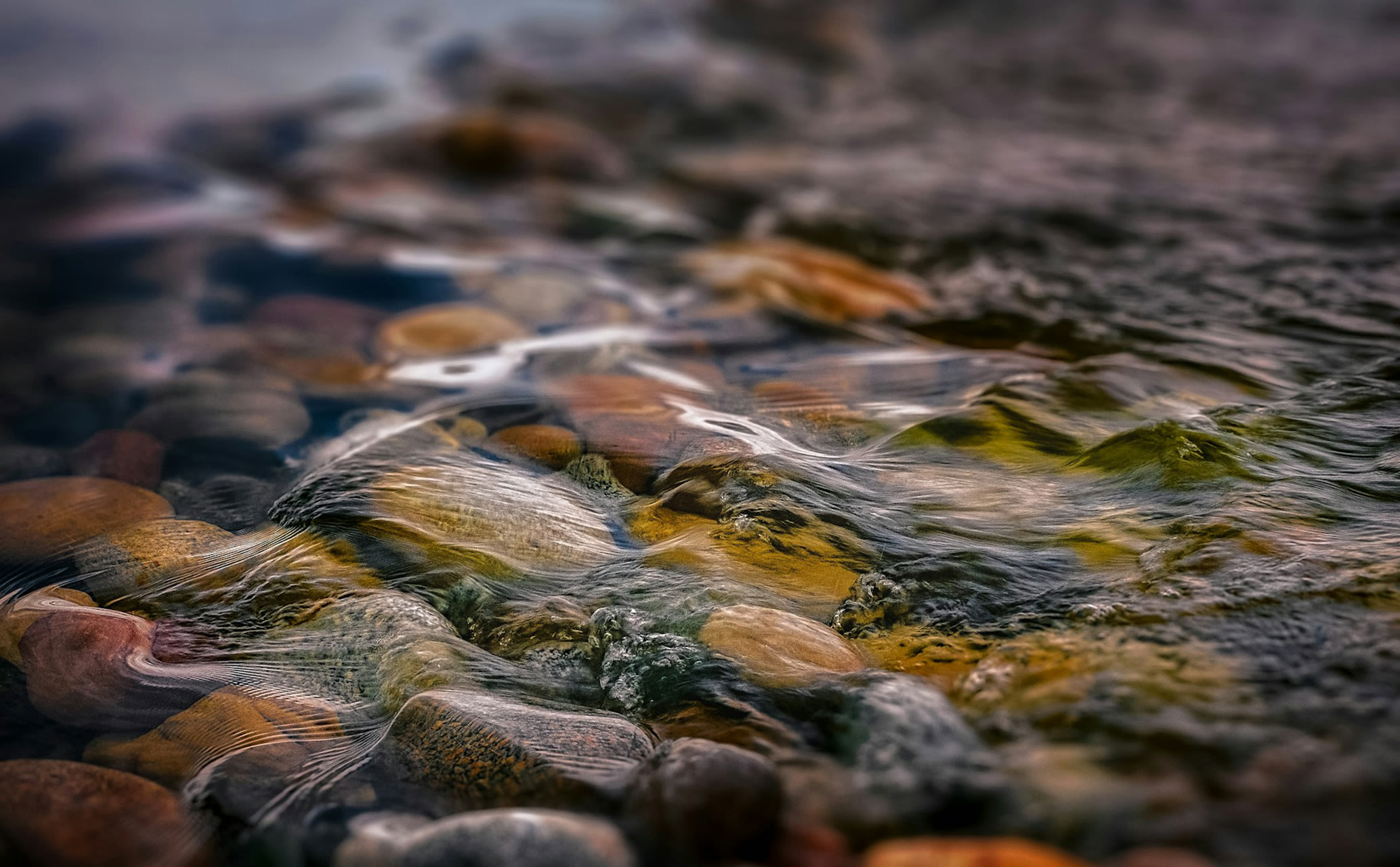 Foto ter illustratie