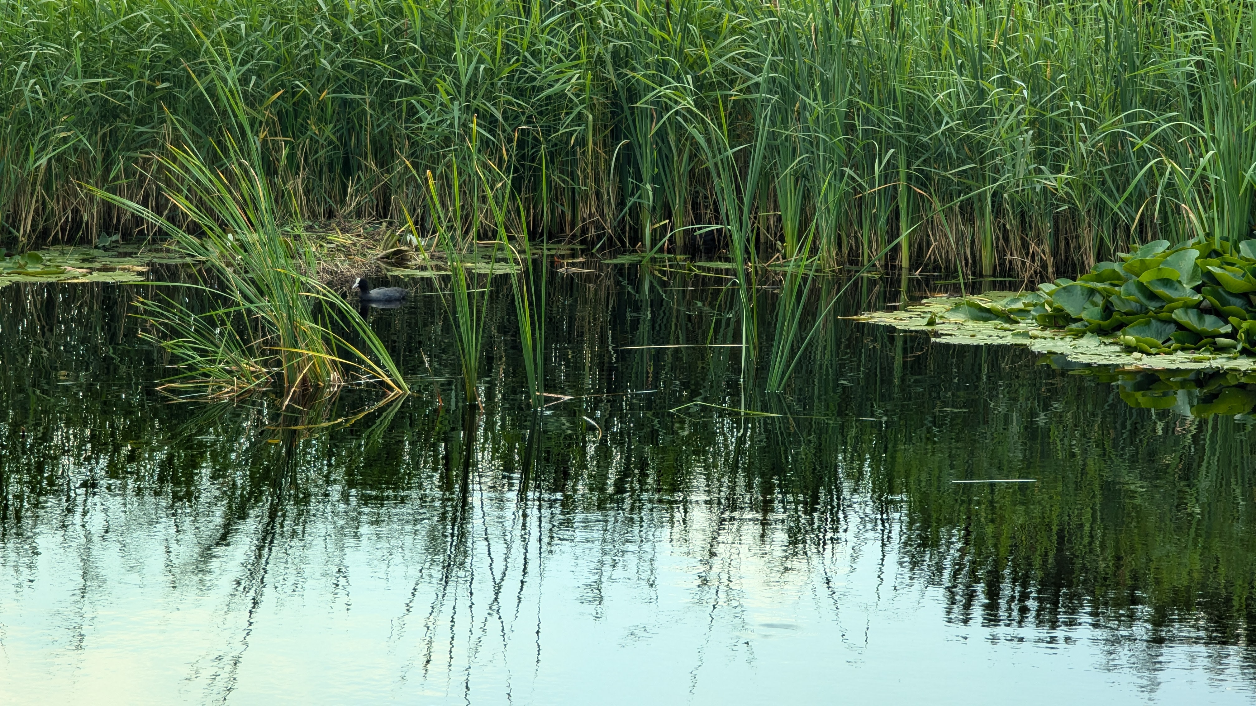 Antonius Hoeve Buitenterrein