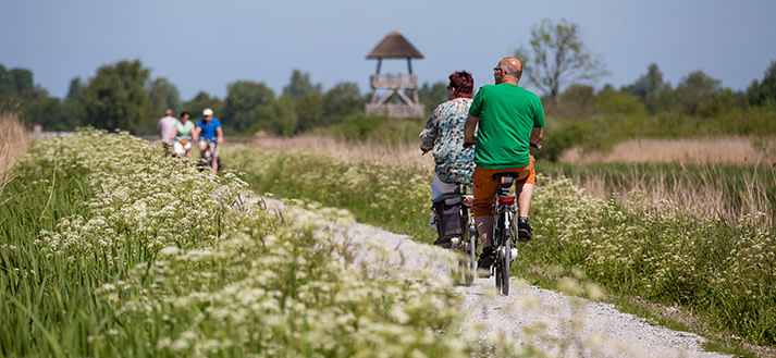 Nationaal Park De Alde Feanen