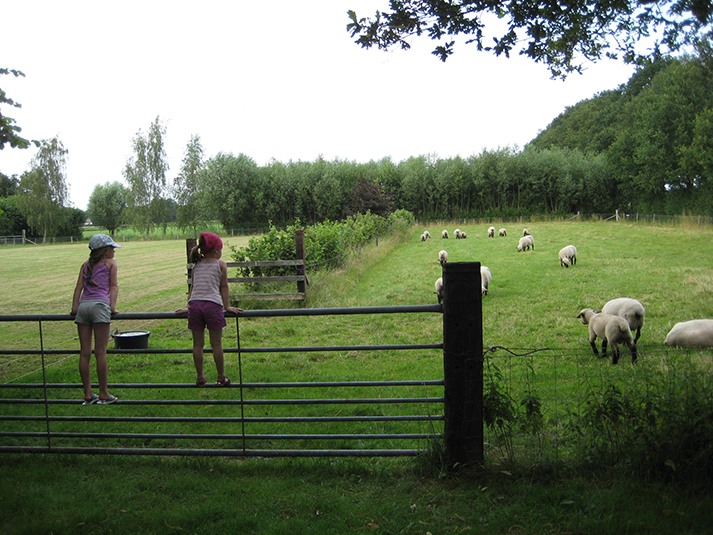 Natuurkampeerterrein De Haverkamp
