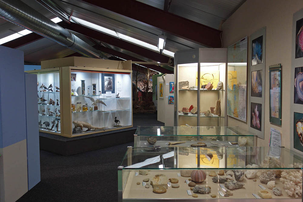 Natuurmuseum Bruinenberg binnen