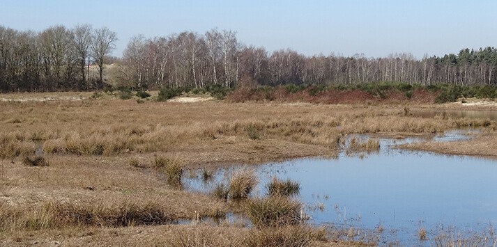 Natuur bij Het Kwakvors