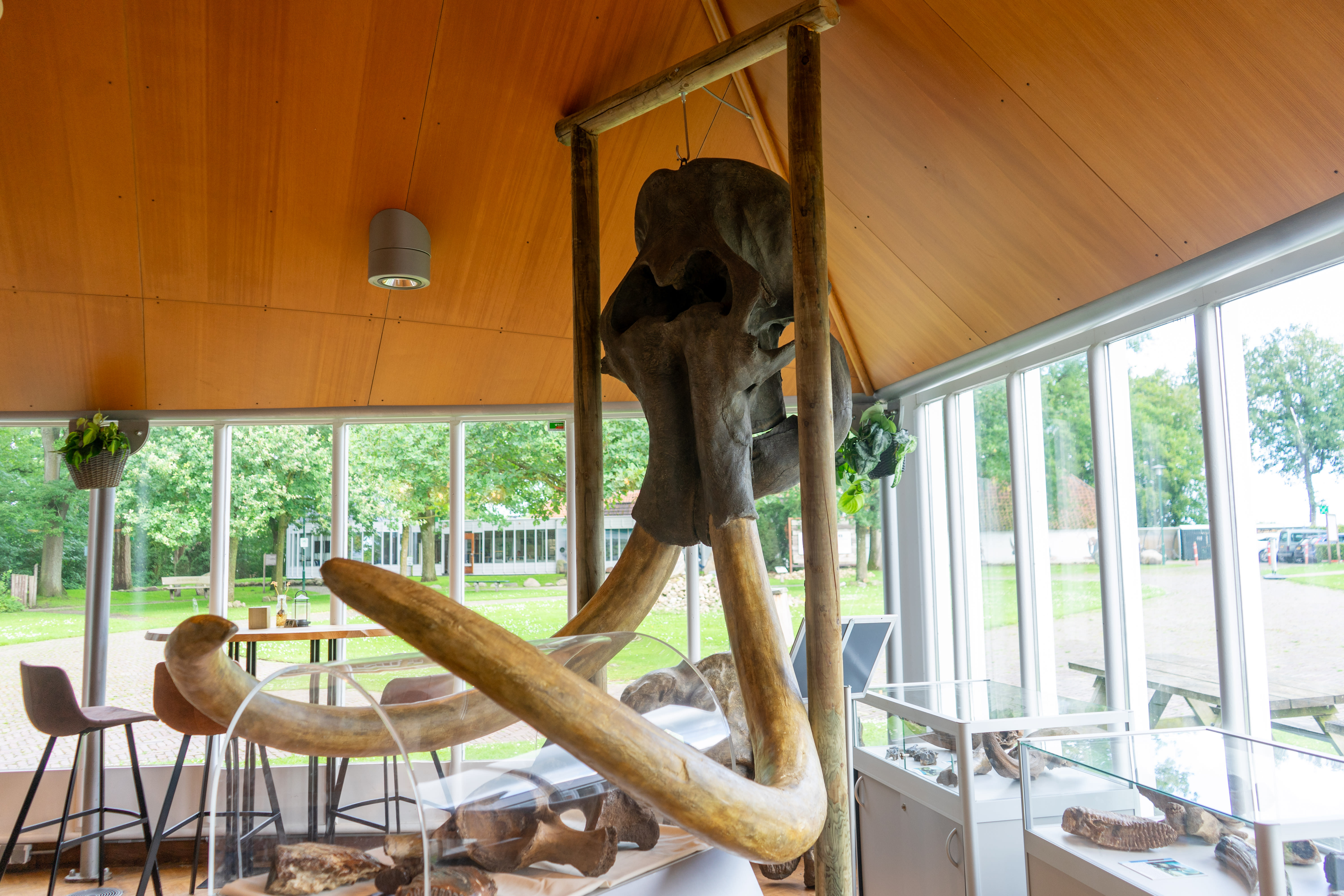 Museumcafé De Trechterbeker vondsten