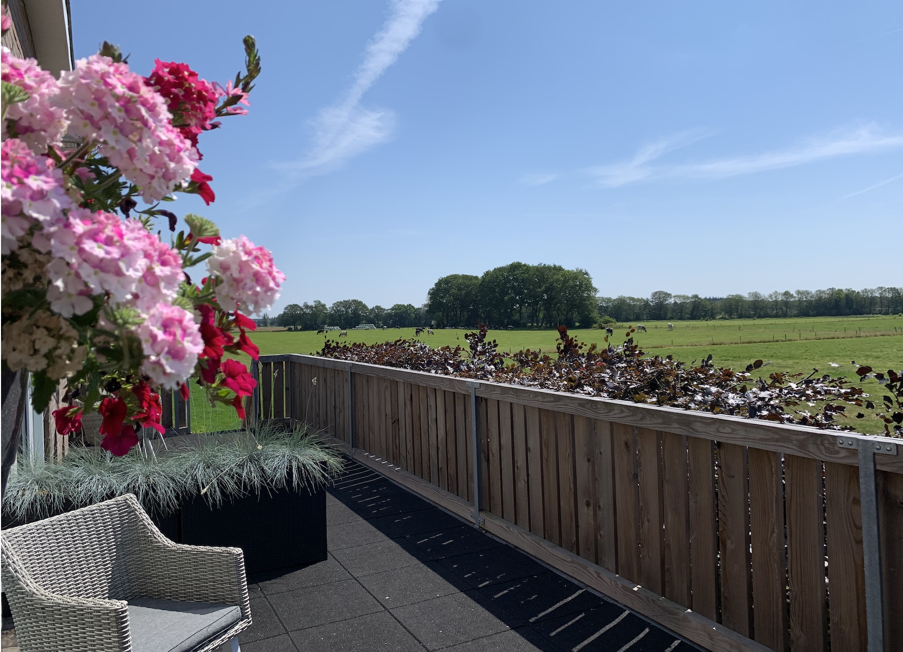 Hotel Grenzeloos | Uitzicht