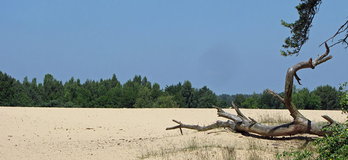 Natuurpoort De Drie Linden