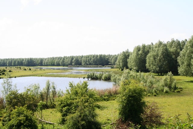 Uitkijkpunt Circle of Life ©Pim Julsing - via Vogelkijkhut.nl