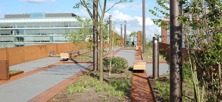 Paleisbrug Den Bosch