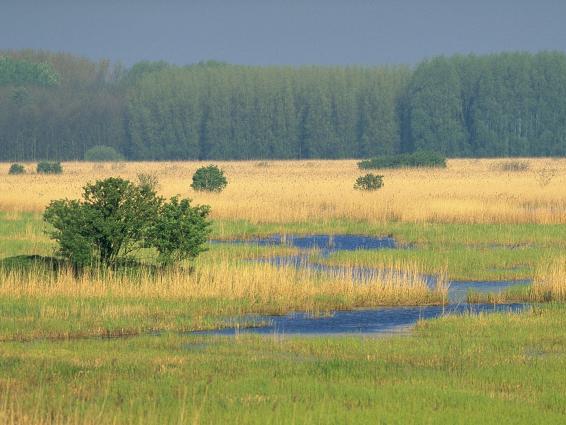 Cafetaria De Biezenburcht