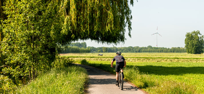 Avelgemse Scheldemeersen