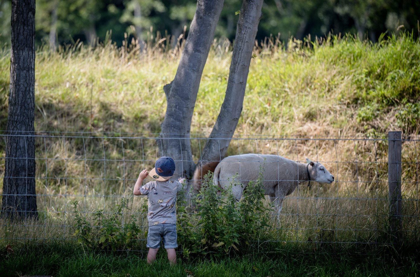 Omgeving Speciaalbierbrouwerij Oijen