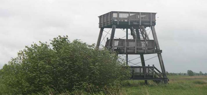 Fotograaf: Hinke Talsma via Vogelkijkhut.nl