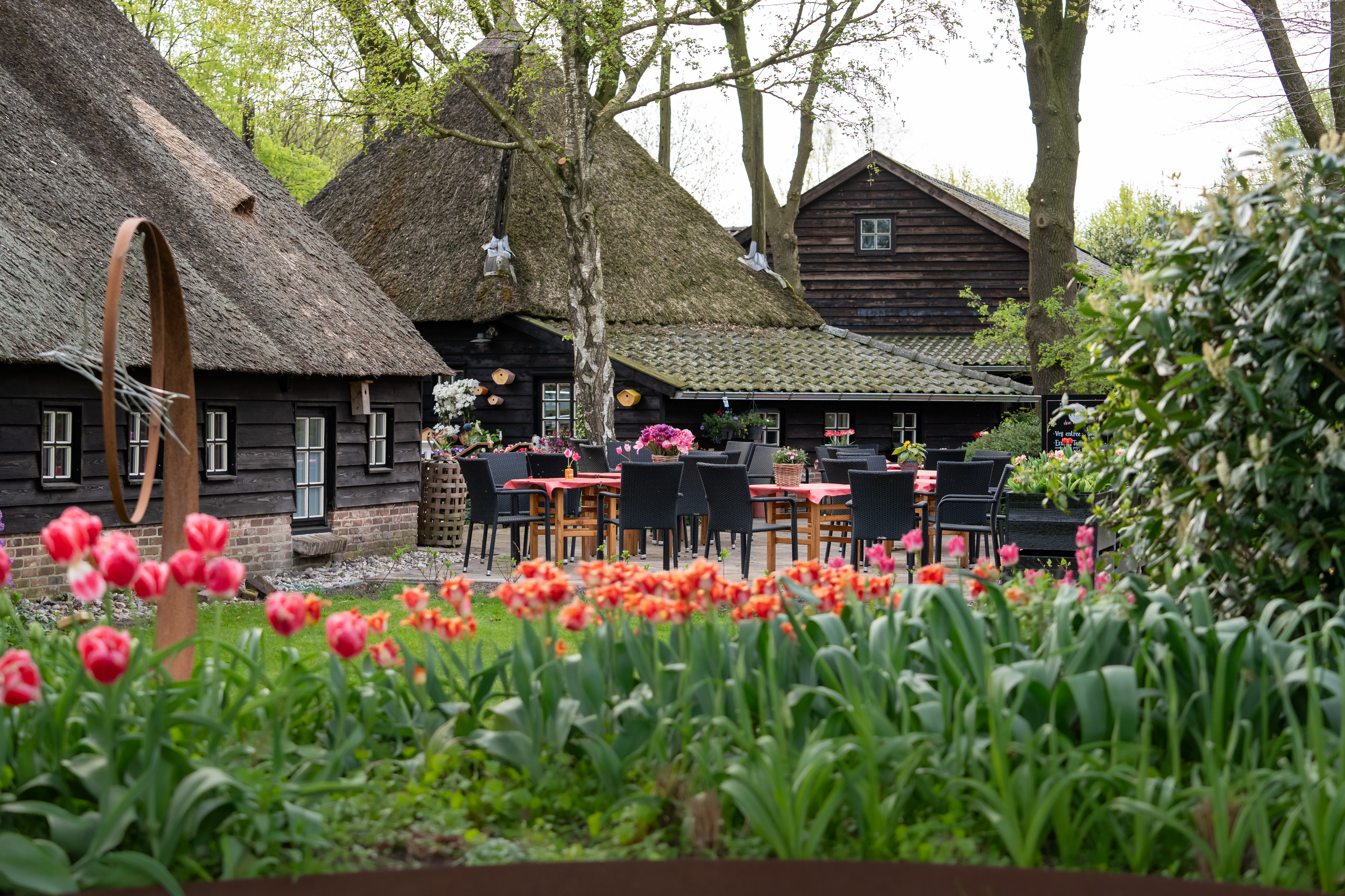 Pluck Elke Dag in Witharen