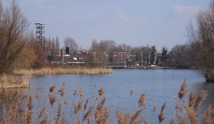 Bergse plassen