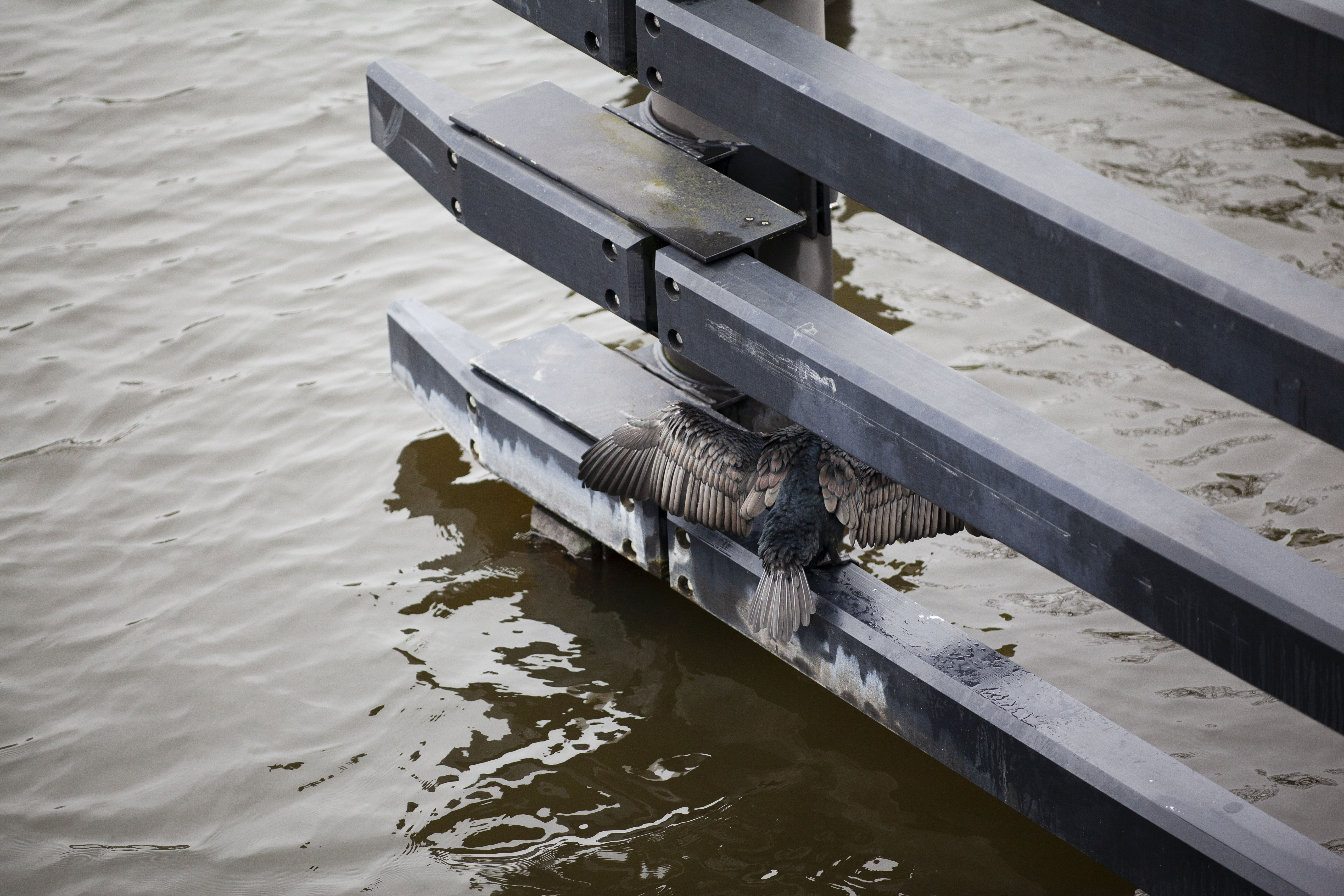 Langs de Vliet pijlers