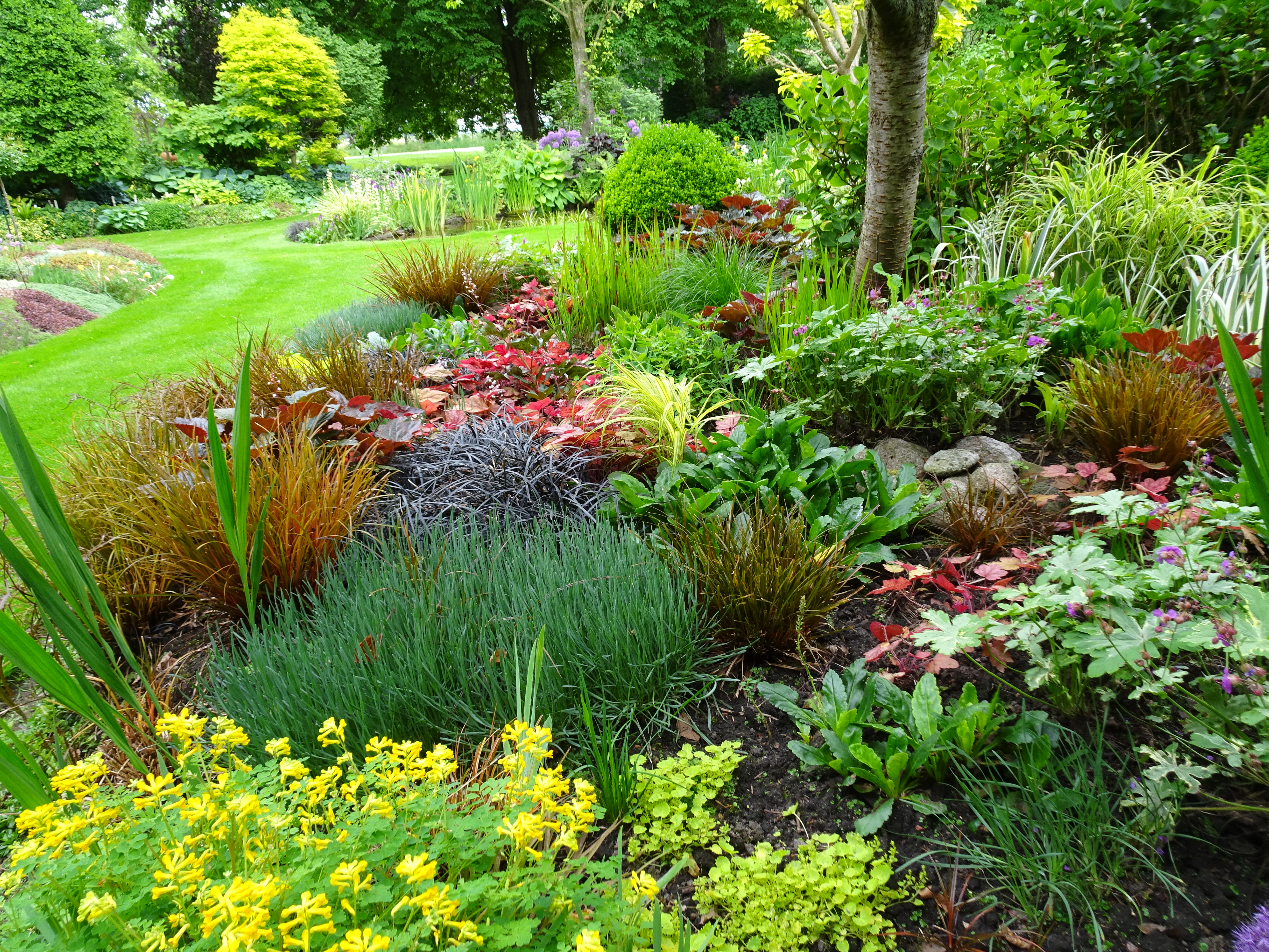 De Stekkentuin Kleurrijke bladborder
