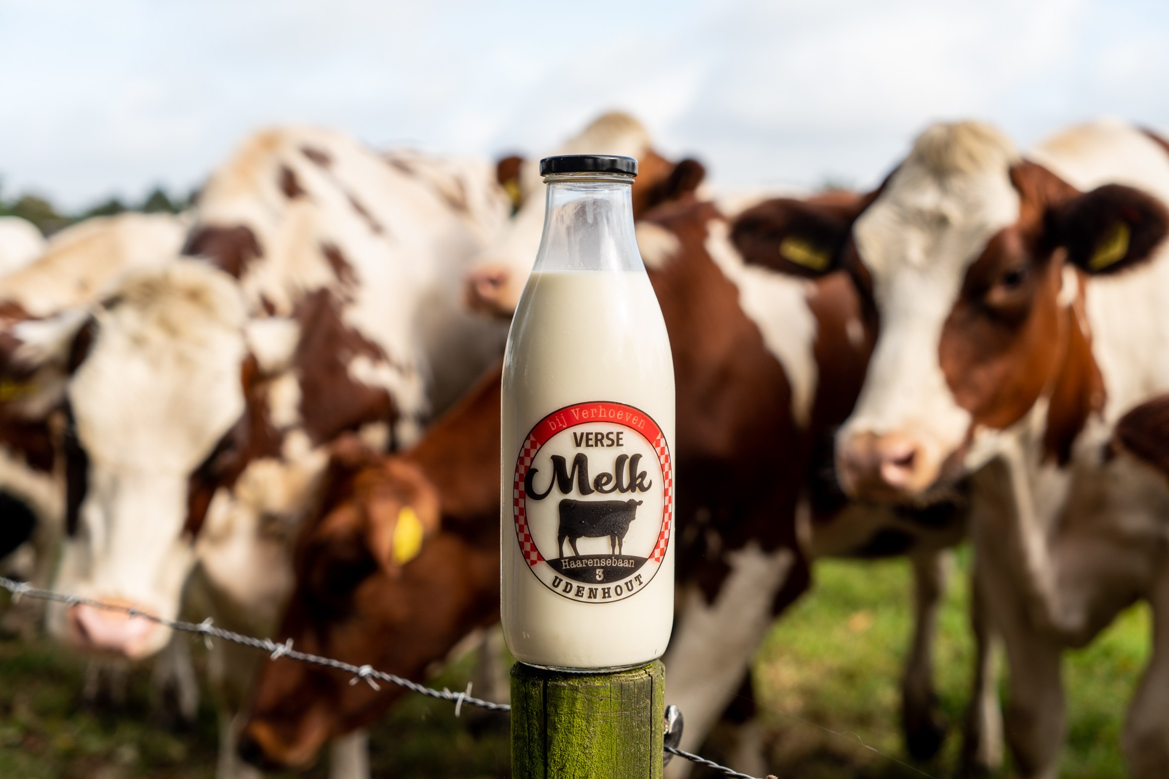 Verhoeven Melktap - ©FotogalerieAngelique