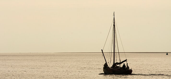 Waddenzee | UNESCO Werelderfgoed