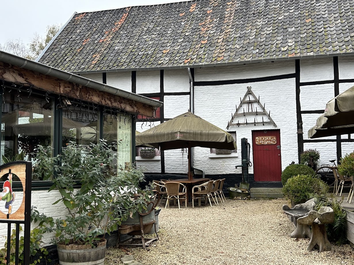 Moeder de Gans terras