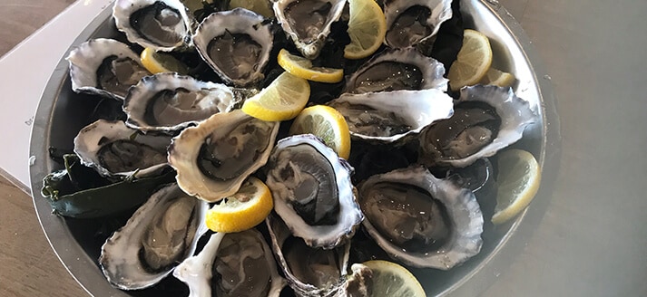 Strandpaviljoen de Strandzot