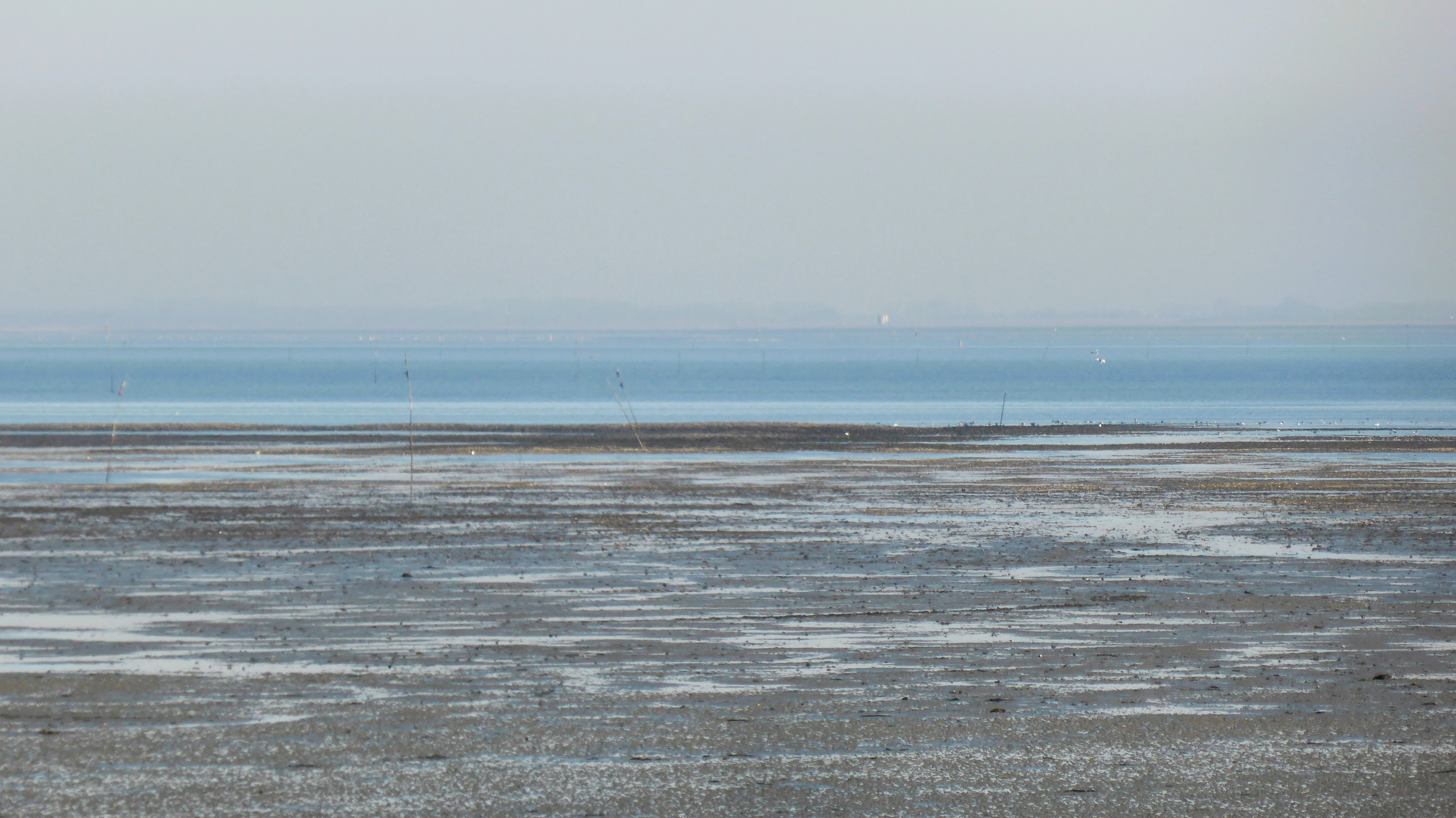 Kijkgat op het verdronken dorp Nieuwlande