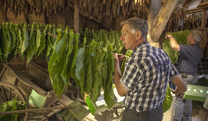 Tabaksteeltmuseum