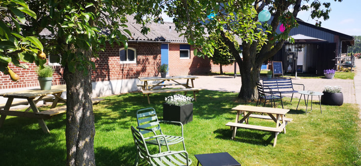 Gezellig terras met uitzicht op de koeien