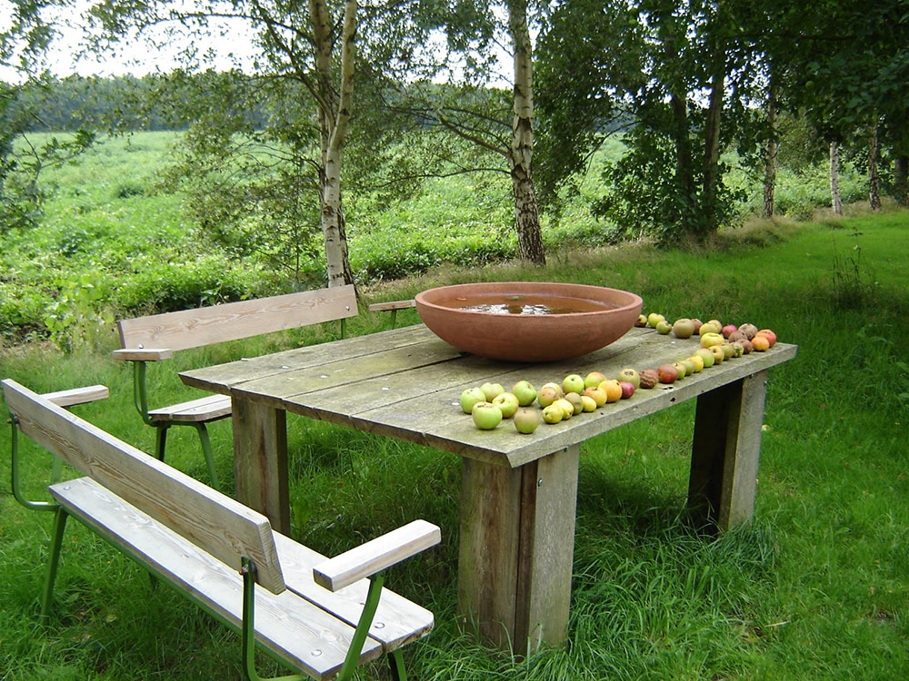 Natuurkampeerterrein de Buitenplaats