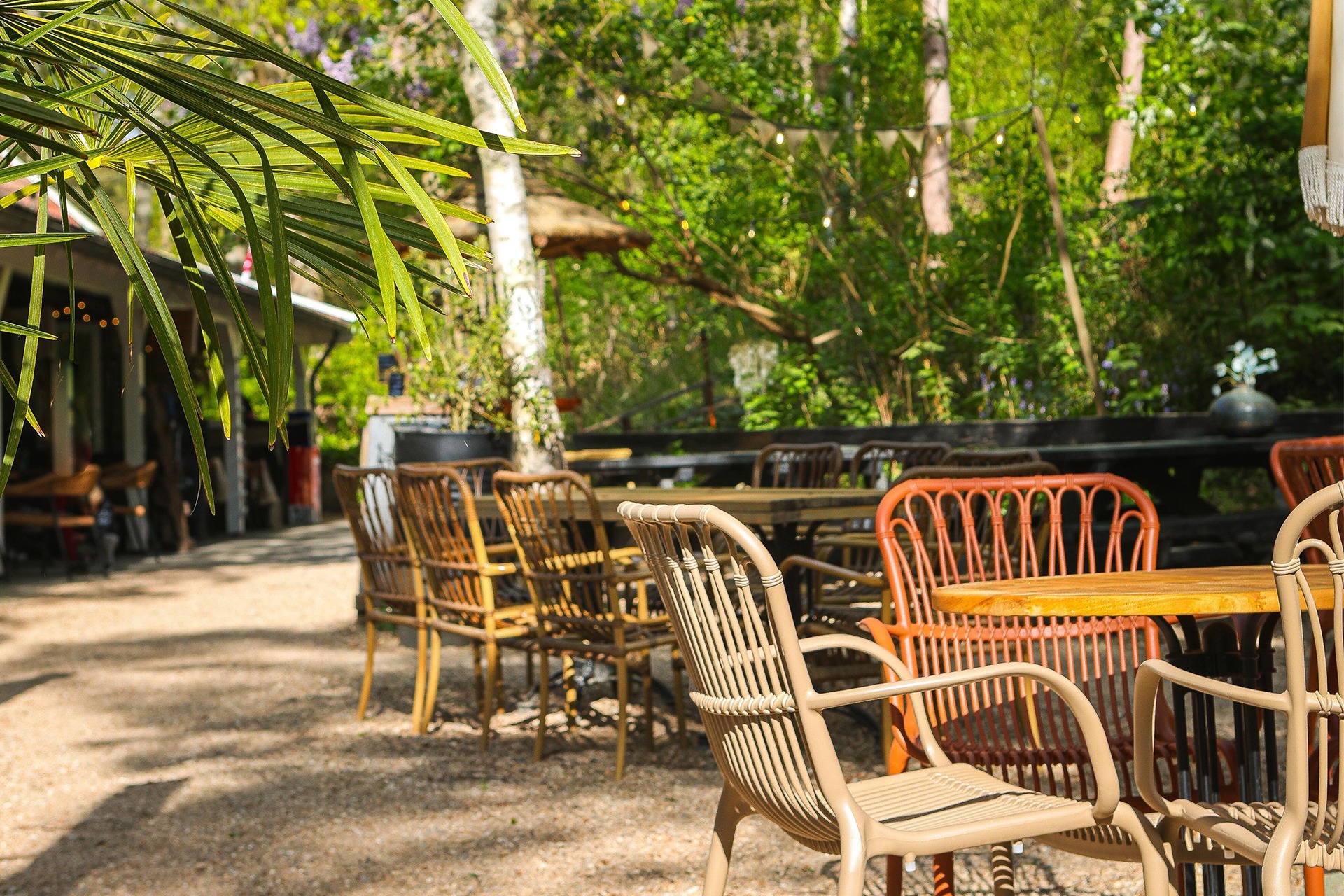 Terras in de Schoorlse Duinen