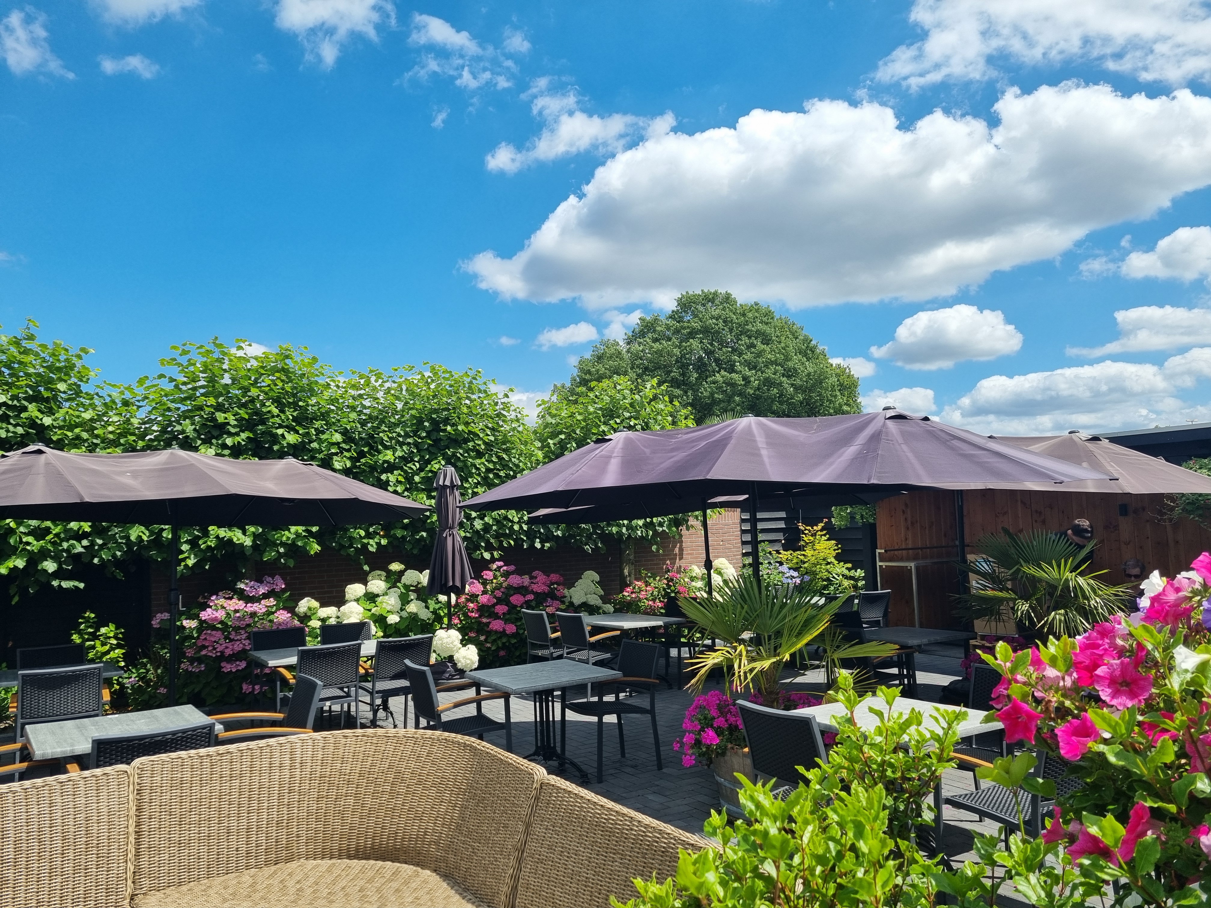 Het terras van De Koning